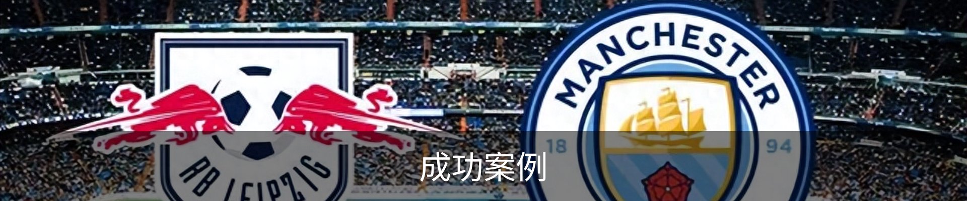 成功案例